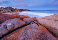 The signature orange lichen on granite of the Bay of Fires in glorious dusk light.
